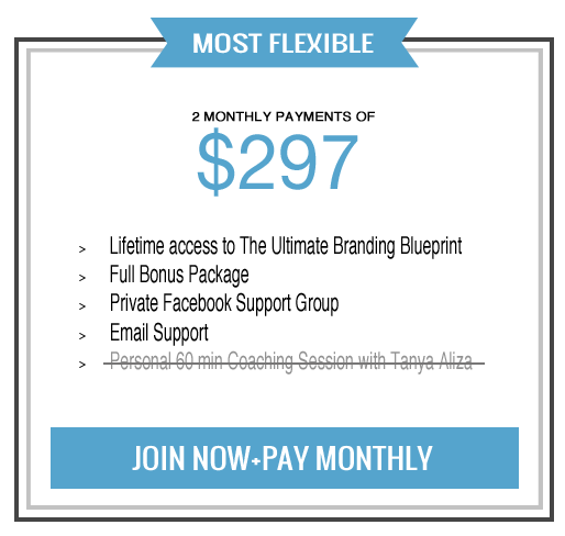 The Ultimate Branding Blueprint — Tanya Aliza Products